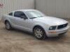 s**2007 FORD MUSTANG COUPE, 4.0L gasoline, automatic, a/c, pw, pdl, pm. s/n:1ZVFT80NX75269760 - 2