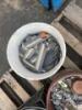 (4) BUCKETS & (2) CRATES OF MISC. FASTENERS, HARD HAT, CALIPER **(LOCATED IN COLTON, CA)** - 5